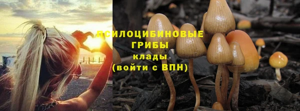 apvp Алексин