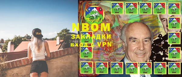прущие грибы Алзамай