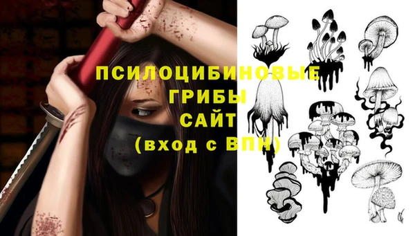 прущие грибы Алзамай