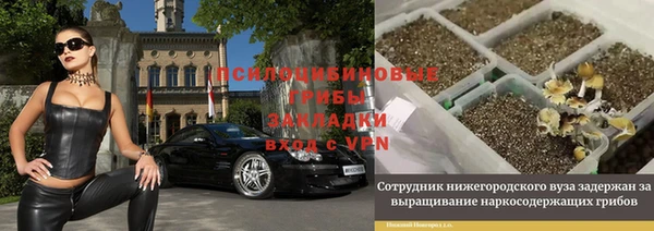 метамфетамин Алексеевка